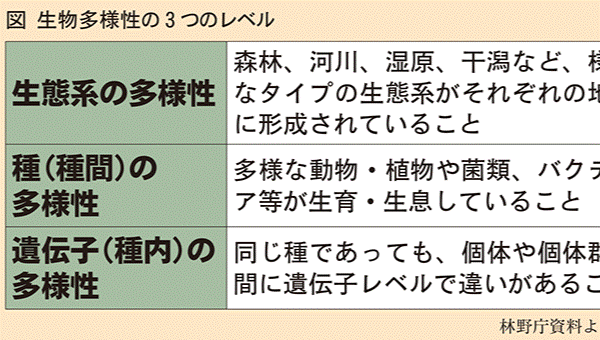森林・林業白書 特集 生物多様性を高める林業経営と木材利用 生物多様性の確保で森林資源の未来を守る