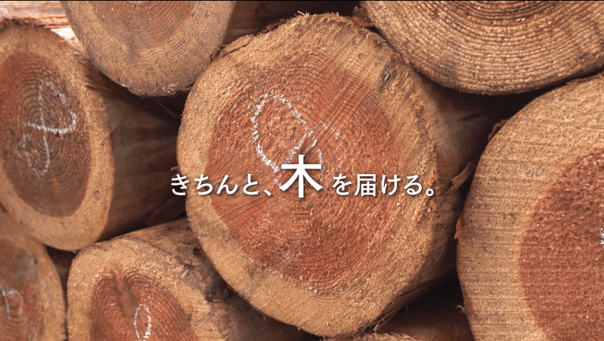 15秒CM「きちんと、木を届ける。」篇