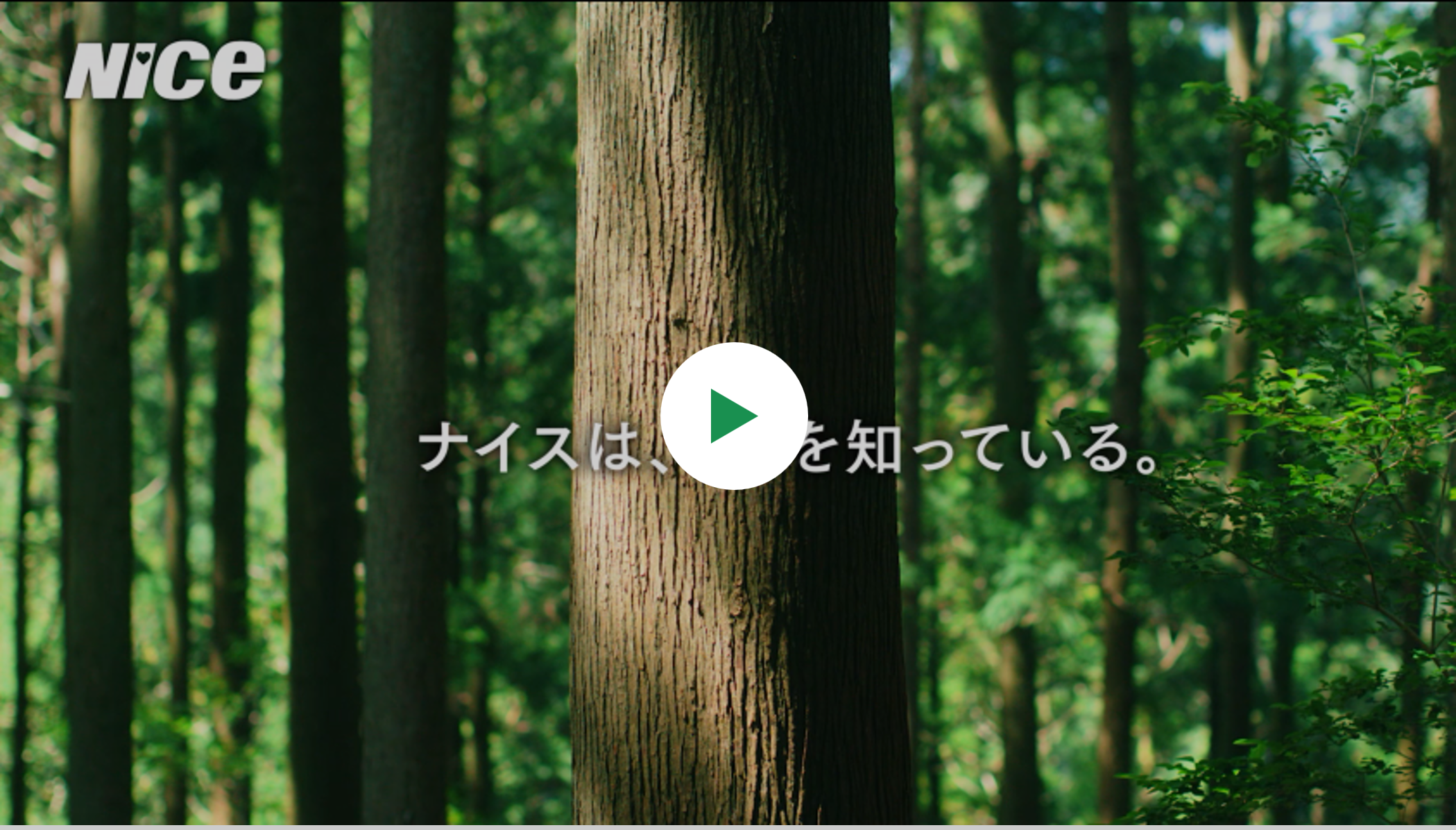 30秒CM「ナイスは、き を知っている。」篇