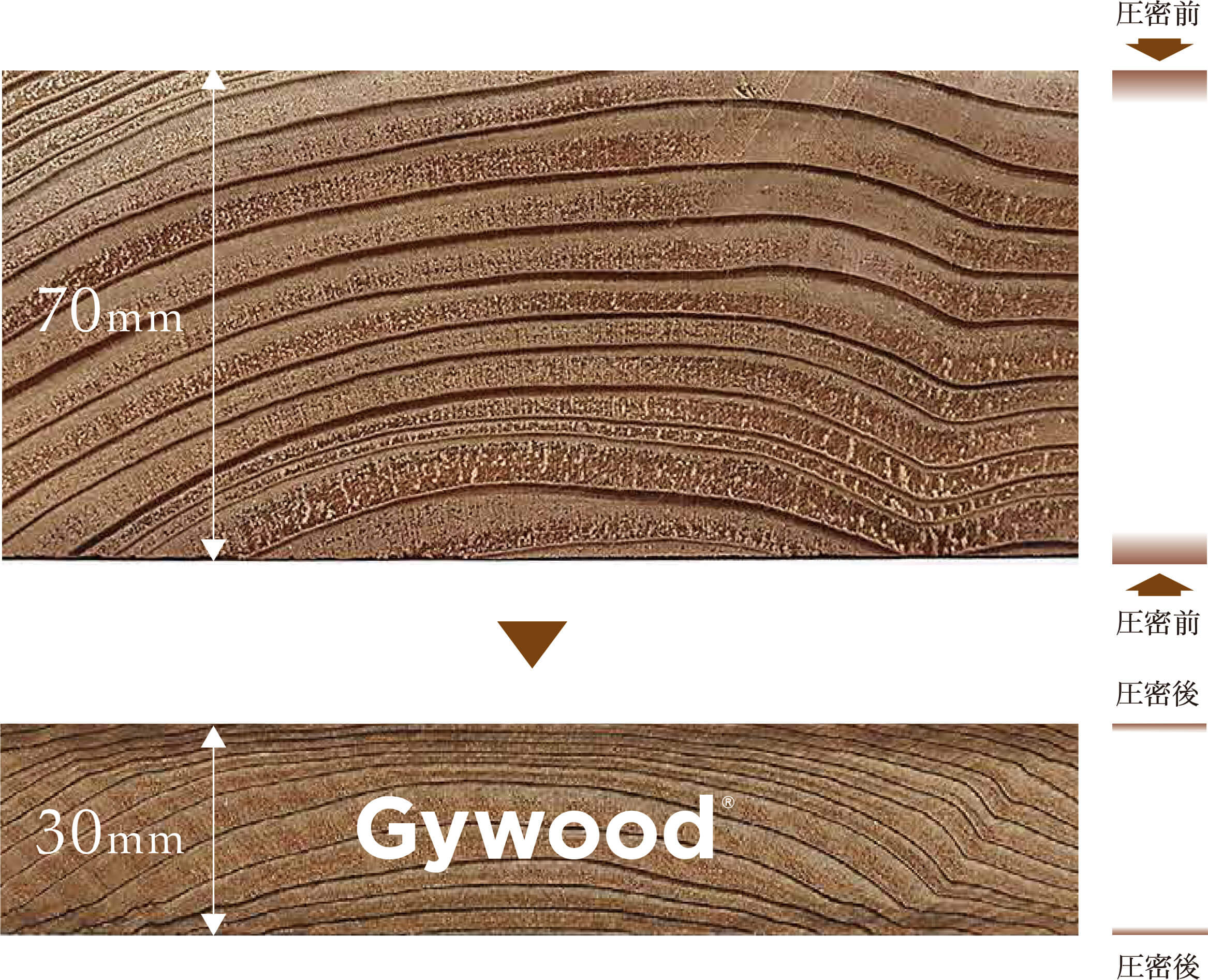 Gywood 表層圧密テクノロジー