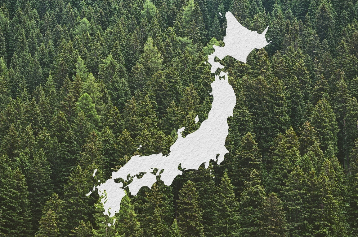 ご当地 Gywood®