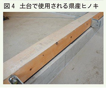にしだ幼稚園写真