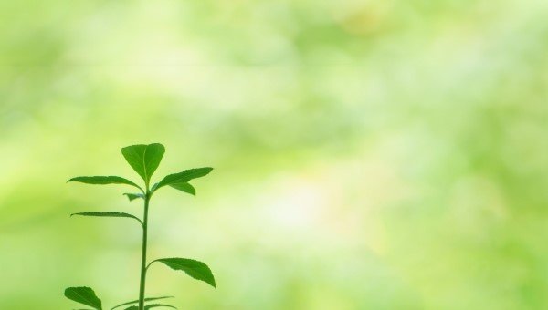 気候変動に関する政府間パネル(IPCC)第6次評価報告書 温暖化の原因は人間活動「疑う余地がない」