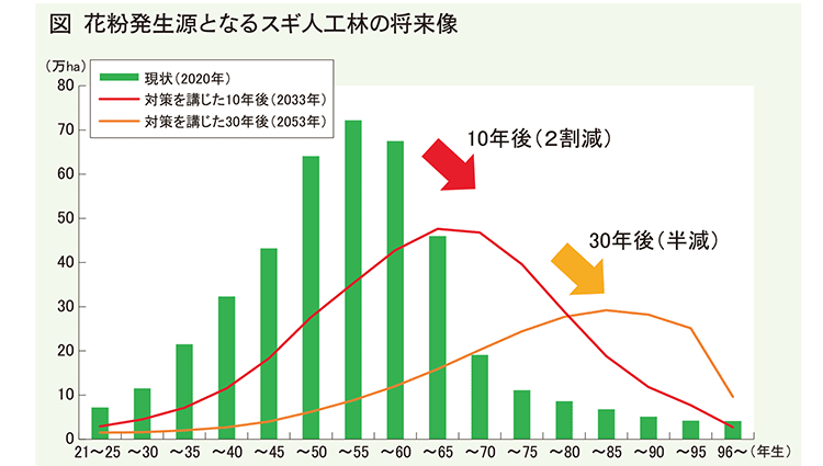 森林・林業白書 特集 花粉と森林 花粉症対策の加速化で新たな森林づくりへ