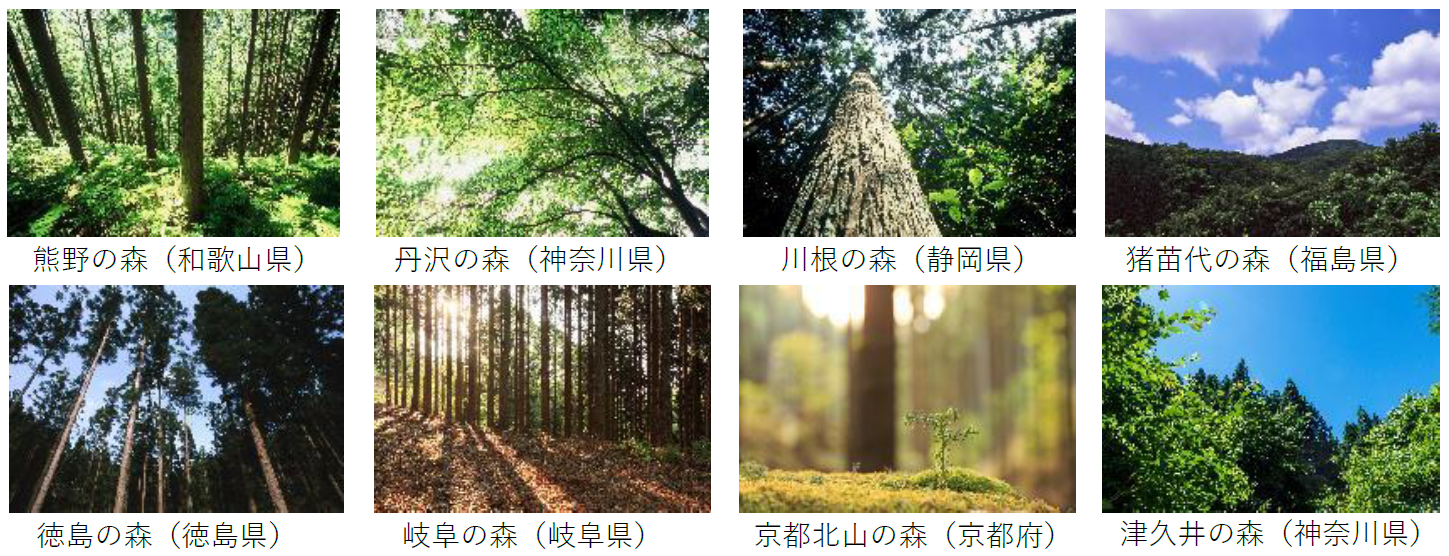 ナイスの森一覧