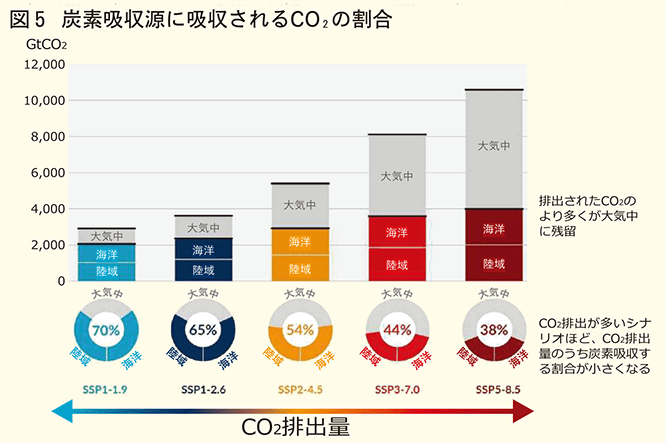 炭素吸収源に吸収されるCO2の割合