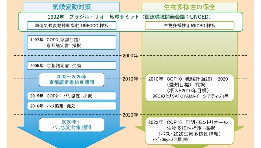 森林・林業白書 特集 森林資源の循環利用の確立に向けて 木材利用と再造林をつないで次世代に継承を