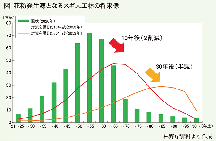 花粉はっせい源となるスギ人工林の将来像