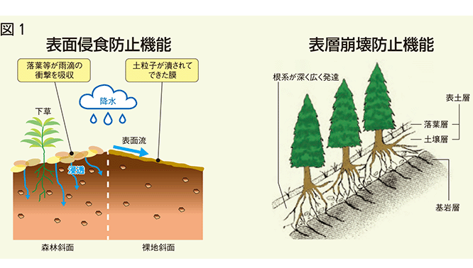 森林・林業白書 特集 気候変動に対応した治山対策 持続可能な地域づくりに向けて森林整備や治山事業を強化
