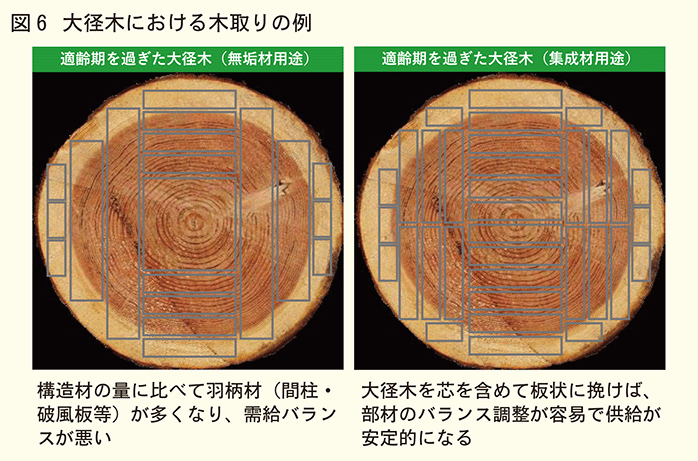 大径木における木取りの例
