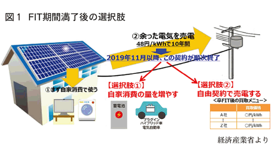 政府 「環境白書・循環型社会白書・生物多様性白書」「エネルギー白書」 「気候危機」に対する社会変革を喚起