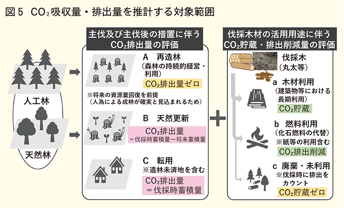 CO2吸収量排出量を推計する対象範囲