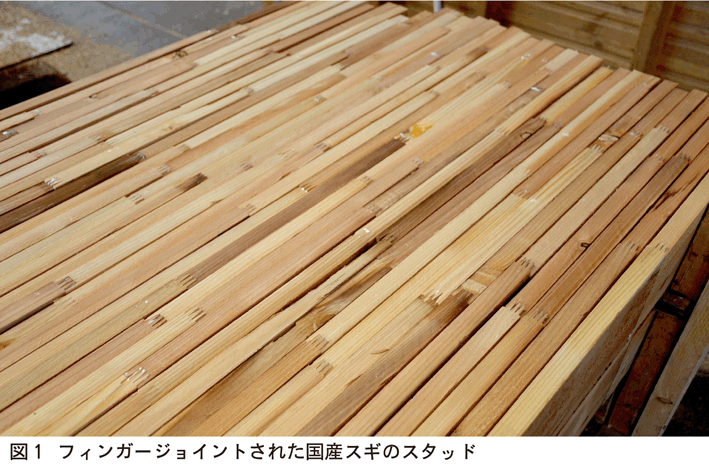 国産スギのスタッド