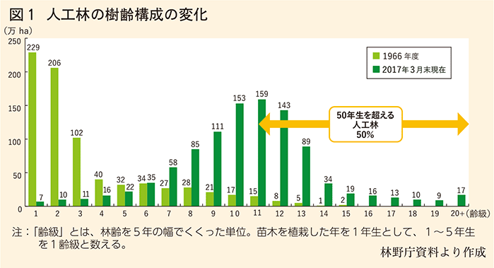 人工林の樹齢構成の変化